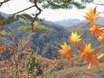 在哪可以购买打胎药怀孕女子喝打胎药赶路（美女怀孕喝打胎药）